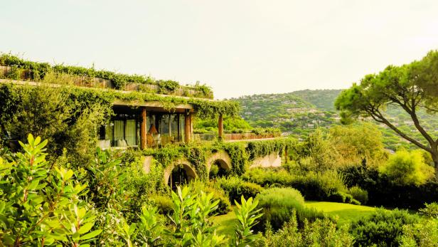 Das Lily of the Valley