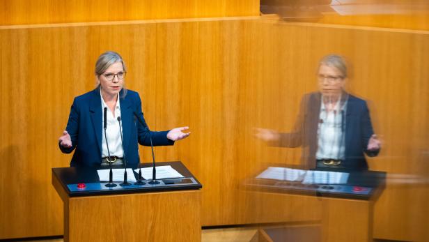 NATIONALRAT: GEWESSLER