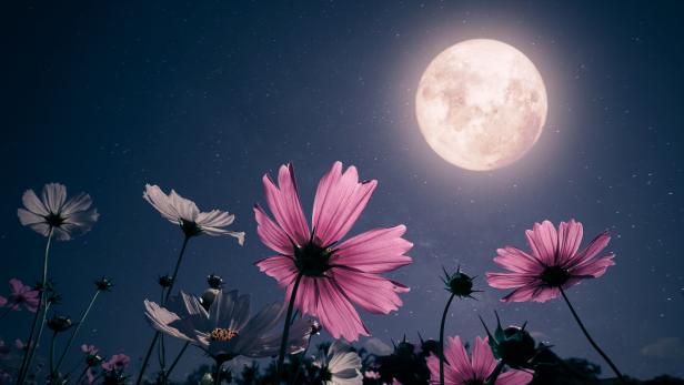 Romantic night scene