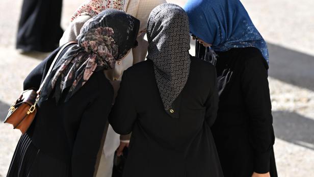 Die SPÖ macht beim Integrationsthema jetzt Law and Ordner