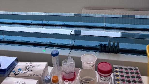 Laborutensilien und Probenröhrchen stehen auf einer Fensterbank, im Hintergrund ist ein modernes Gebäude zu sehen.