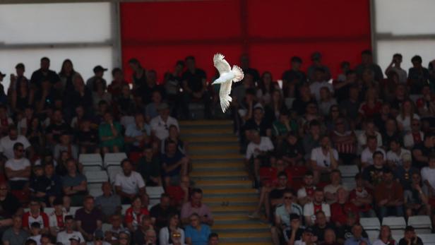 FBL-ENG-PR-SOUTHAMPTON-LIVERPOOL