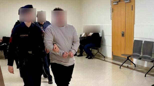 Der Fäkalienwerfer vor Gericht.