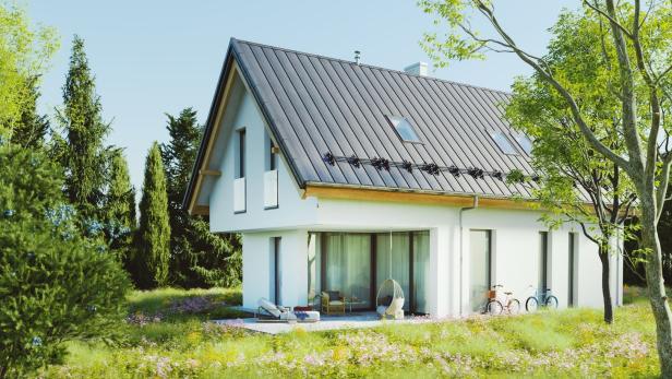 Simple modern house with lush garden