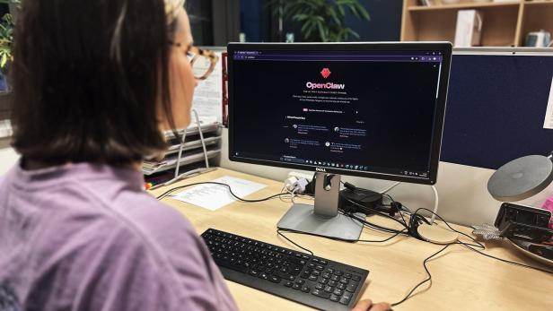 Eine Person sitzt vor einem Computer mit der OpenClaw-Webseite auf dem Bildschirm.