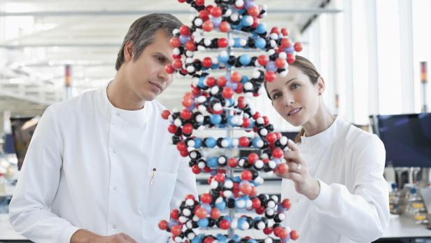Zwei Wissenschaftler betrachten gemeinsam ein großes DNA-Modell in einem modernen Labor.