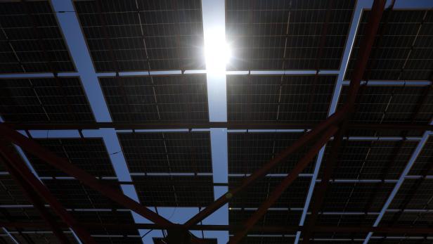 Sonne scheint zwischen Modulen einer PV-Anlage durch.
