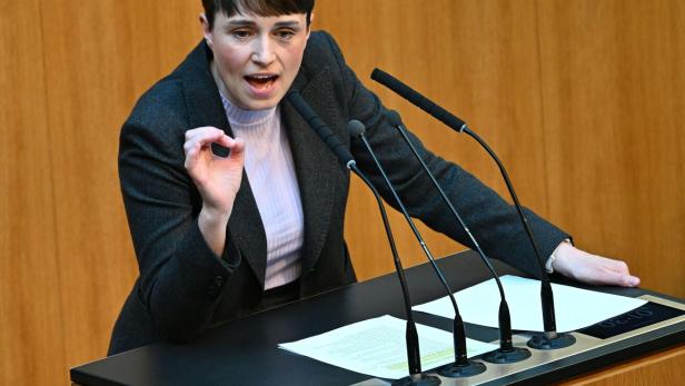 SONDERSITZUNG DES NATIONALRATS AUF VERLANGEN DER FPÖ: MAURER