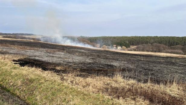 Verbranntes Feld mit Rauchentwicklung, im Hintergrund ein Wald und einige Häuser am Waldrand.