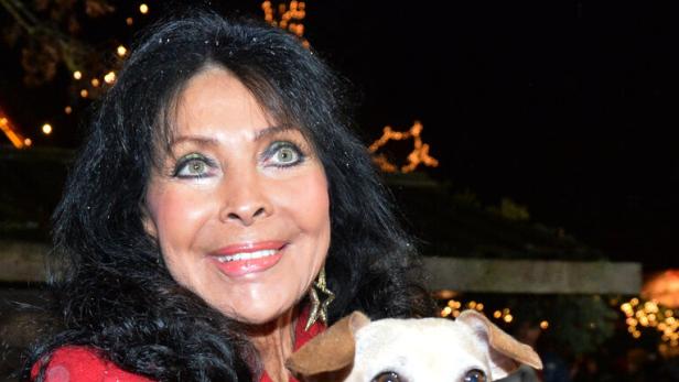 ADVENT AUF GUT AIDERBICHL: RAJTER