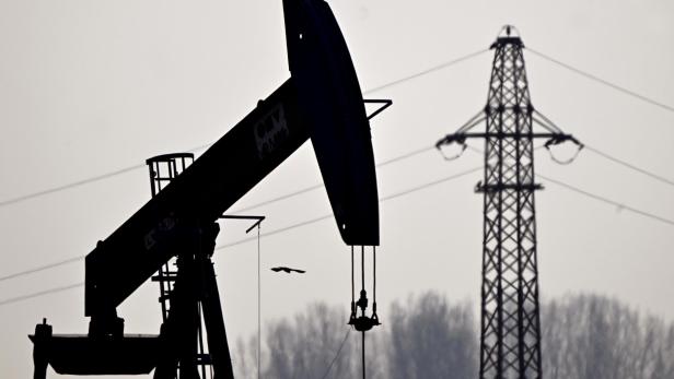 Eine Ölpumpe steht im Vordergrund, im Hintergrund sind ein Strommast und Bäume zu sehen.