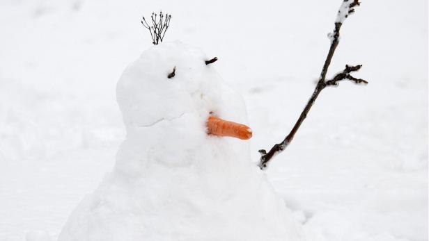 Ein Schneemann mit Karottennase und Ästen als Arme steht im Schnee.