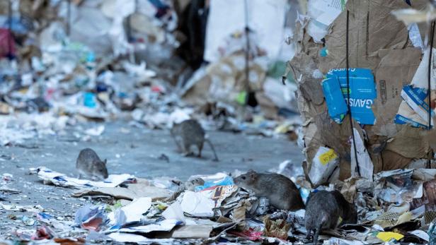 FRANCE-ENVIRONMENT-RECYCLING