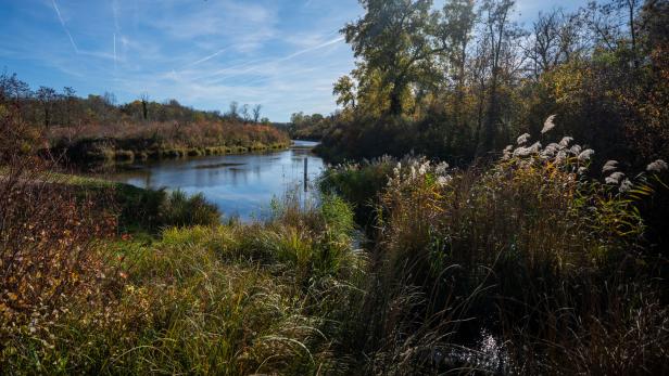 ++ THEMENBILD ++ LOBAU / NATURSCHUTZGEBIET / HERBST / WETTER
