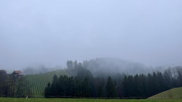 Die Hügel der Südsteiermark im Nebel