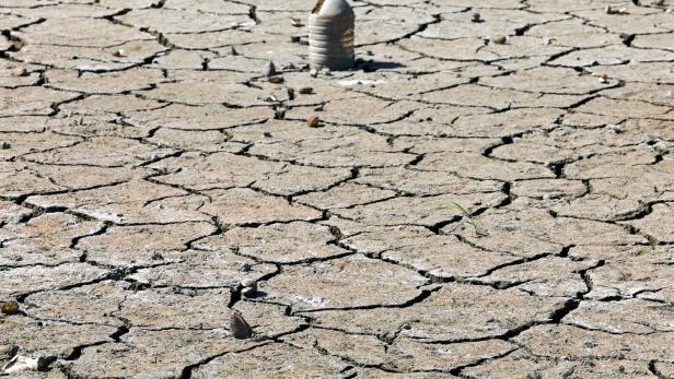 FILE PHOTO: Drought in Turkey's northwestern province of Tekirdag