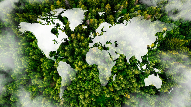 Bildmontage auf der man Wald und Wolken von oben sieht und grafisch eine Weltkarte darüber gelegt ist