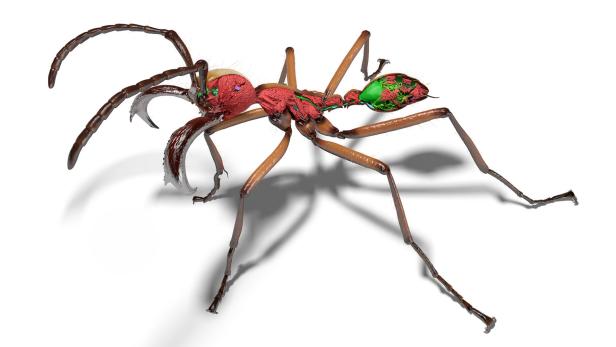 rot-grüner 3D-Scan einer Ameise