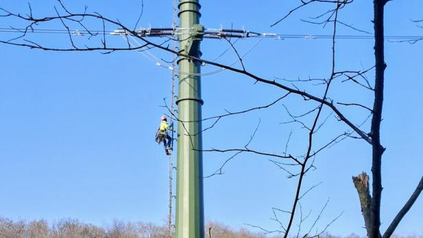 Neubau der 110 kV Leitung zwischen Steinbrunn und Au am Leithaberge