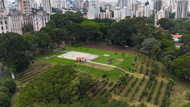 An drone view over an urban coffee plantation in Sao Paulo,  Brazil