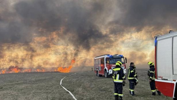 Drei Feuerwehrleute stehen auf einer Wiese vor einem großen Flächenbrand mit dichter Rauchentwicklung und Feuerwehrautos.