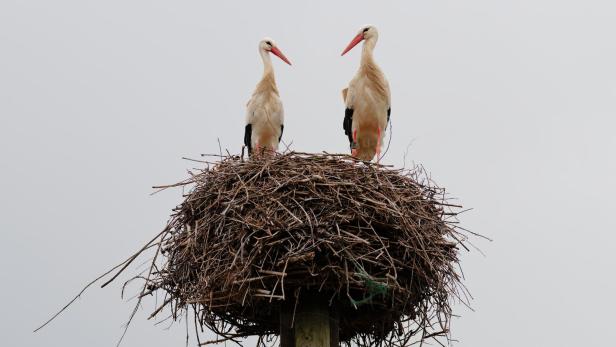 Wetter in Baden-Württemberg