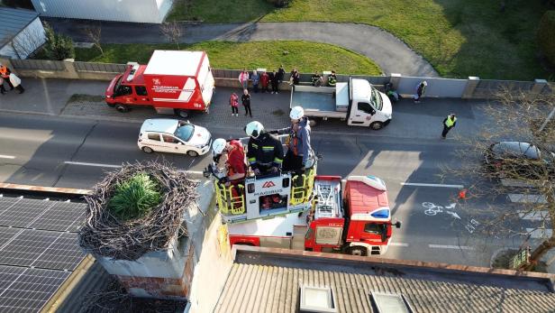 Feuerwehrleute in einer Drehleiter inspizieren ein großes Nest auf einem Schornstein, während Einsatzfahrzeuge und Schaulustige unten stehen.