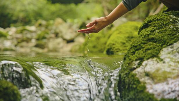 Eine Hand schöpft Wasser aus einem klaren Bach.