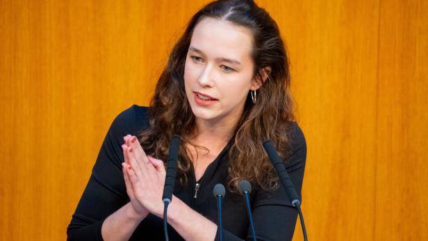 NATIONALRAT: SCHILLING