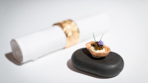 Haubenkoch Juan Amador