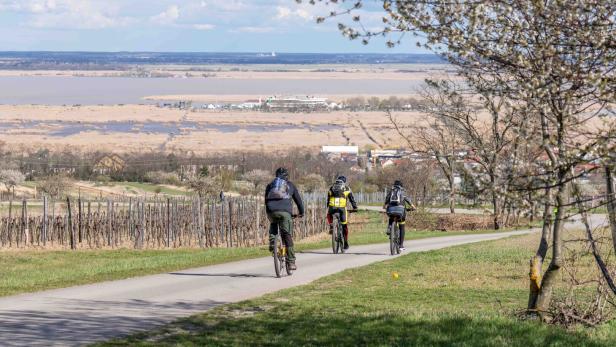 Drei Radfahrer fahren auf einem Weg durch eine ländliche Landschaft mit Feldern, Bäumen und weitem Blick auf Wasserflächen.