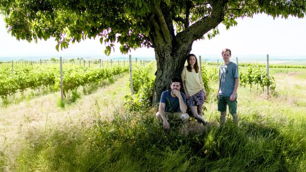 3 Personen vor einem Feld mit Weinreben