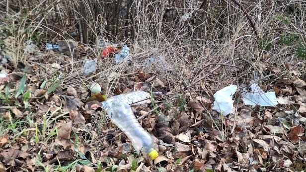 Zwischen trockenem Laub und Gras liegen mehrere Plastikflaschen und Müll verstreut am Boden.
