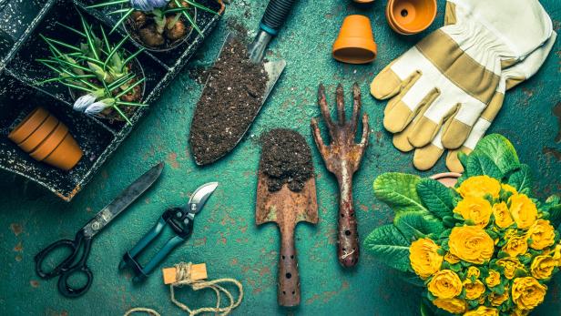 Spring gardening concept - gardening tools with plants, flowerpots and soil