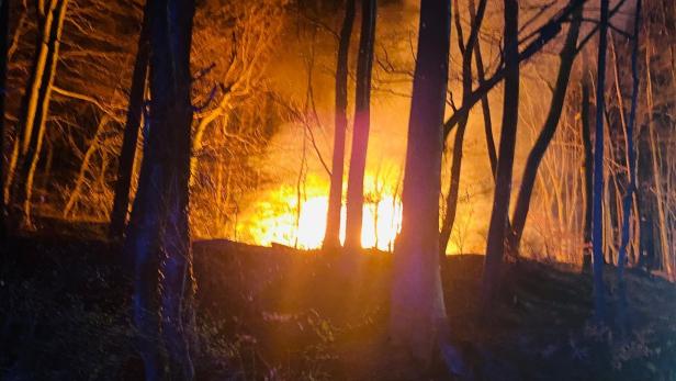 Feuer im Wald