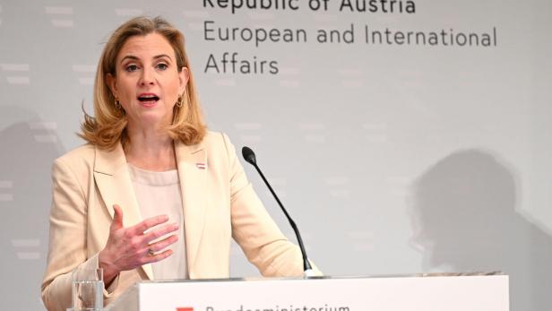 PK AUSSENMINISTERIUM, OECD "ECONOMIC SURVEY - WIRTSCHAFTSBERICHT ZU ÖSTERREICH": MEINL-REISINGER (NEOS)