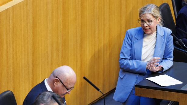 SONDERSITZUNG DES NATIONALRATS: BABLER (SPÖ)/STOCKER (ÖVP)/GEWESSLER (GRÜNE)