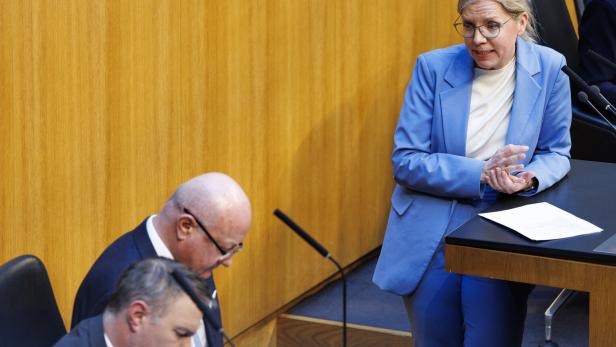 SONDERSITZUNG DES NATIONALRATS: BABLER (SPÖ)/STOCKER (ÖVP)/GEWESSLER (GRÜNE)