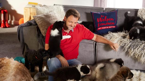 Ein Mann sitzt lachend auf dem Boden eines Wohnzimmers und spielt mit mehreren verspielten Welpen.