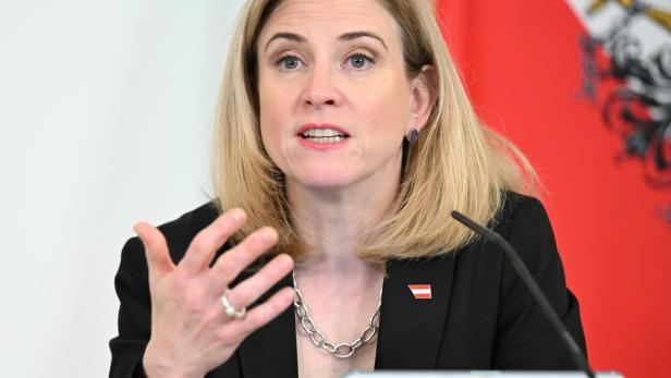 MINISTERRAT: MEINL-REISINGER (NEOS)