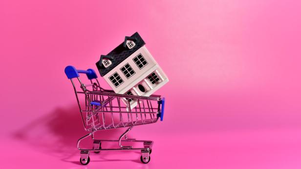 Haus im Einkaufswagen