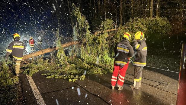 Mehrere Feuerwehrleute räumen nachts bei Schneefall einen umgestürzten Baum von einer Straße im Wald.