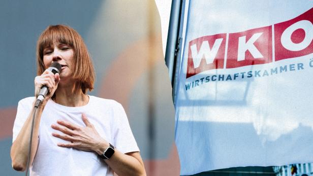 Christina Stürmer beschwert sich über die WKO-Umlage