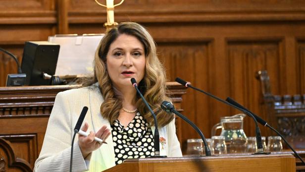 Eine Frau mit Blazer spricht an einem Rednerpult mit Mikrofonen vor holzvertäfeltem Hintergrund.