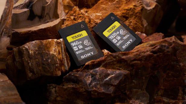 Zwei Sony-Speicherkarten mit hoher Kapazität liegen auf braunen Gesteinsbrocken.
