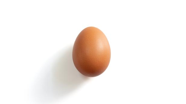 An egg on the white background