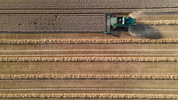 ++ ARCHIVBILD ++ Getreideernte