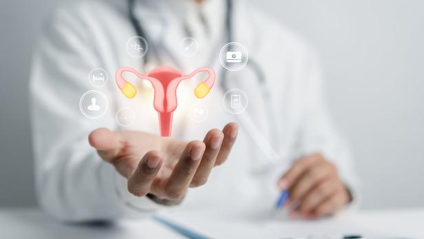 Ein Arzt hält ein Symbol der Reproduktionsorgane der Frau. 