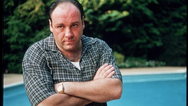 James Gandolfini als Tony Soprano mit verschränkten Armen vor einem Swimmingpool, eine ikonische Szene aus der Serie "Die Sopranos".