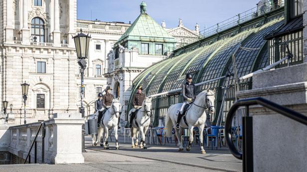Spanische Hofreitschule